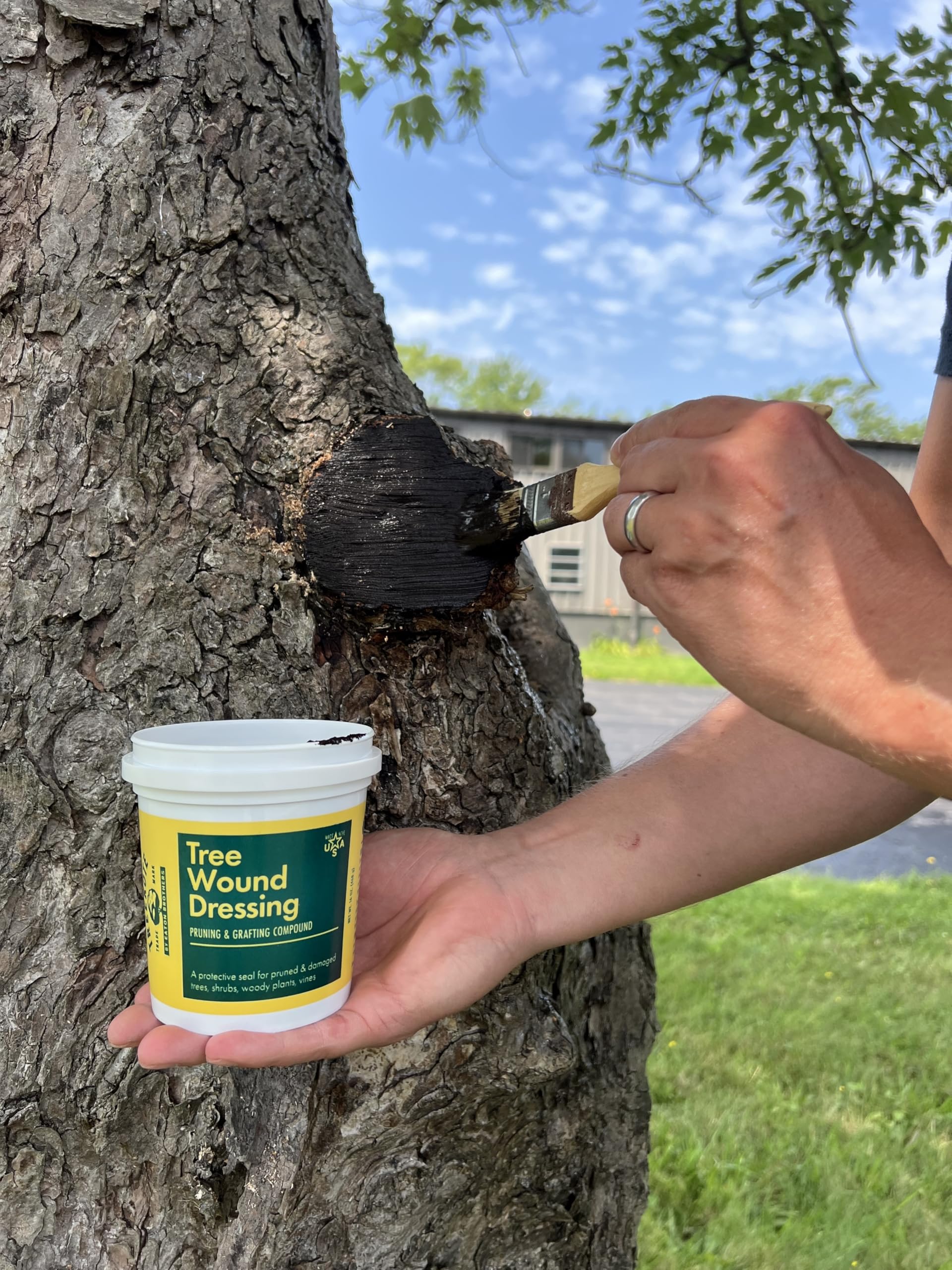 Treekote pruning cuts protection shows moisture control barrier.