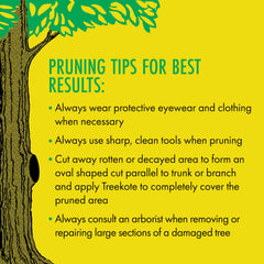 Treekote wound dressing application demonstrates even coverage over a pruning site.