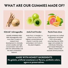 TRIBE ORGANICS Ashwagandha gummies amla-fruit illustration highlights vitamin C support.