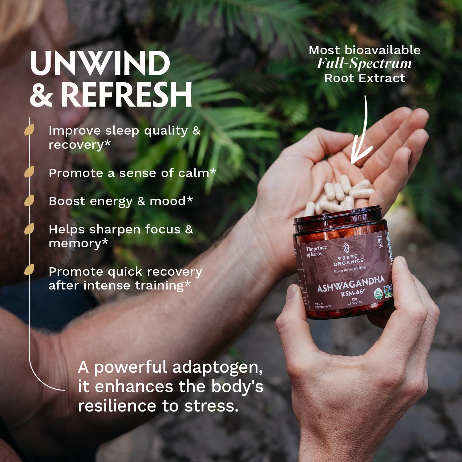 TRIBE ORGANICS Ashwagandha KSM66 athlete training scene suggesting endurance.