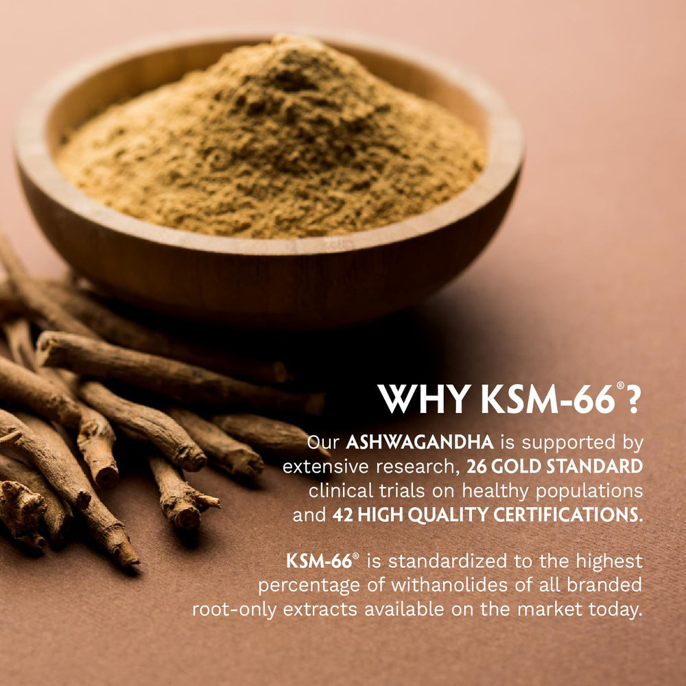 TRIBE ORGANICS Ashwagandha KSM66 capsules close-up for daily routine.
