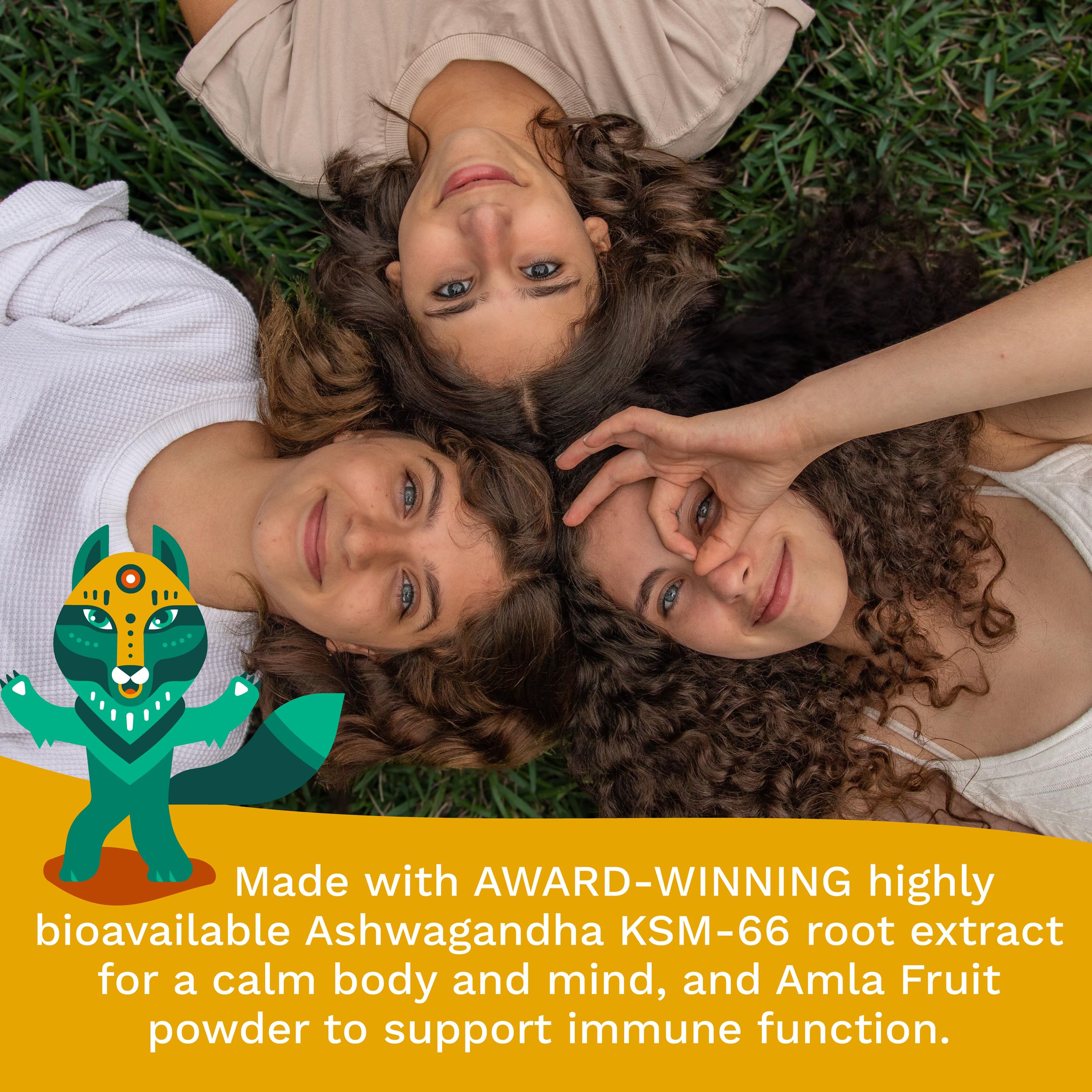 TRIBE ORGANICS daily routine with gummies supports energy and mood
