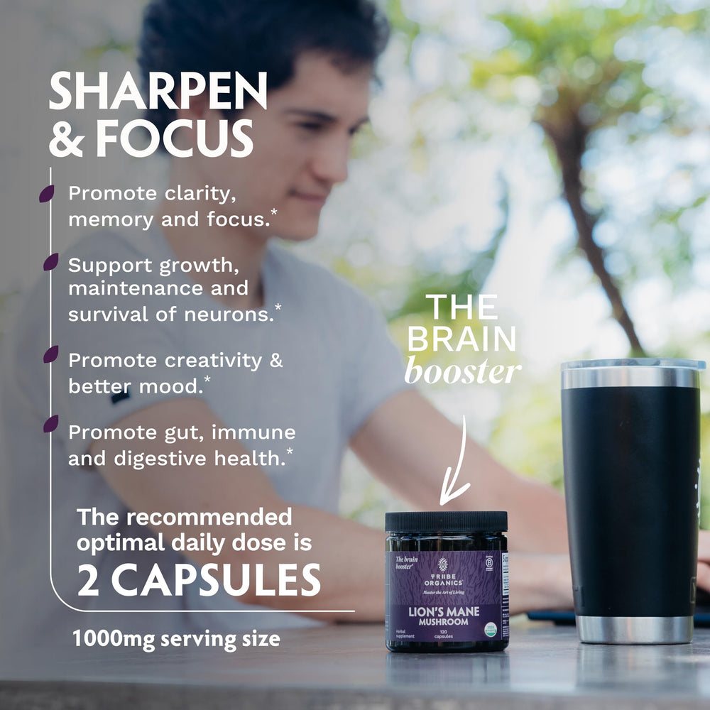 TRIBE ORGANICS Lion’s Mane beta-glucans graphic highlights high beta-glucan content.
