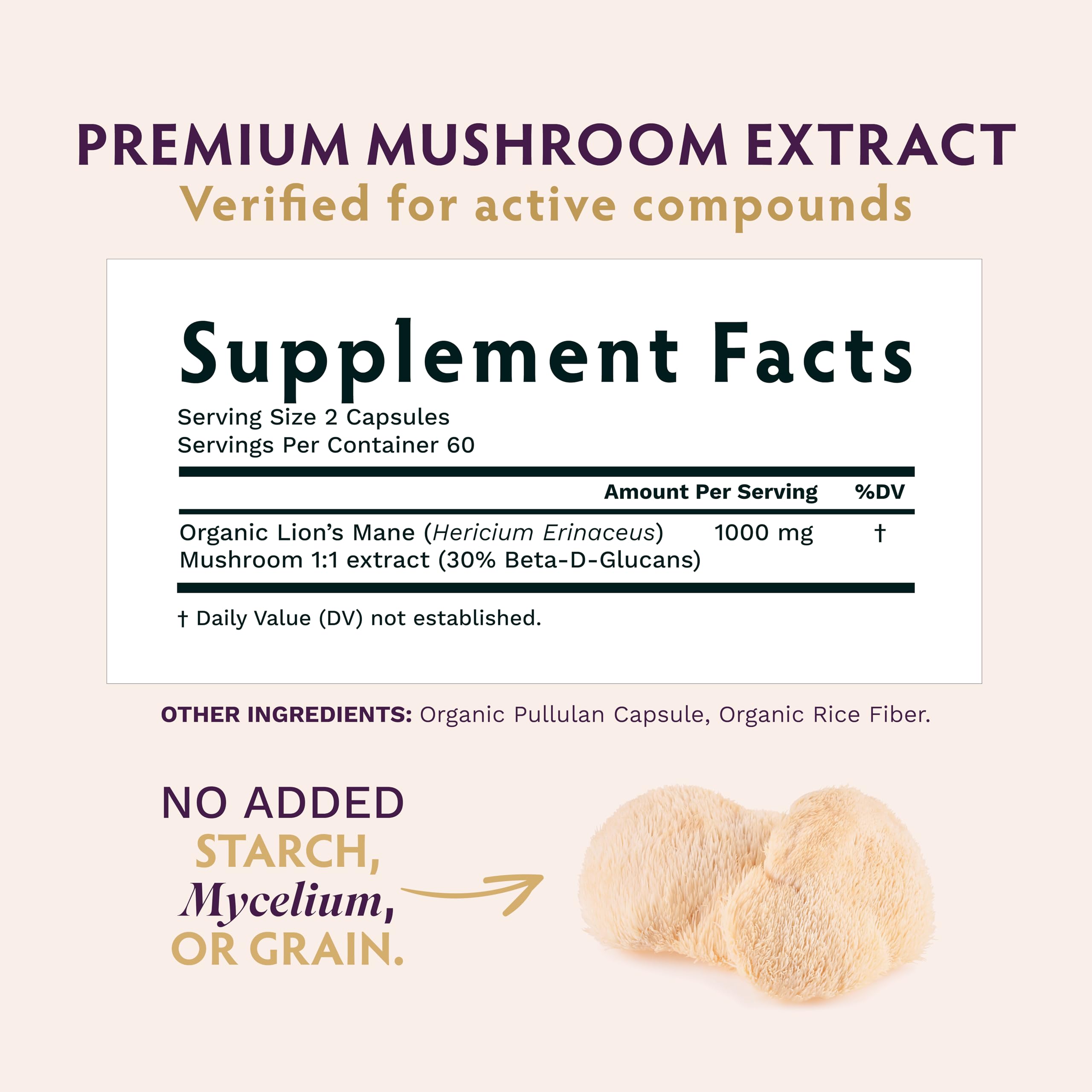 TRIBE ORGANICS Lion’s Mane extract jar shows 100% fruiting bodies quality.