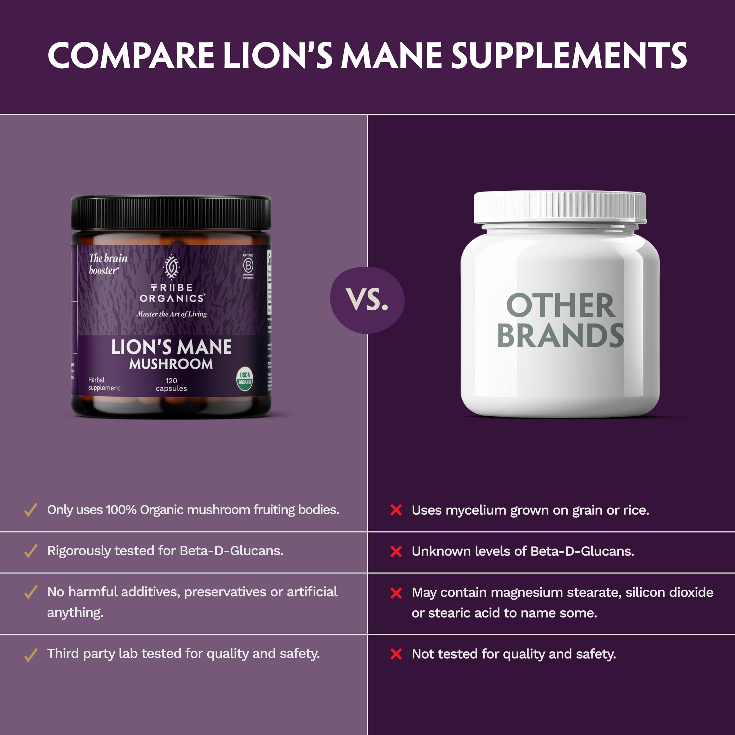 TRIBE ORGANICS Lion’s Mane sourcing with Nammex confirms ethical, clean supply.
