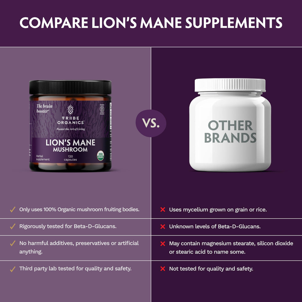 TRIBE ORGANICS Lion’s Mane sourcing with Nammex confirms ethical, clean supply.