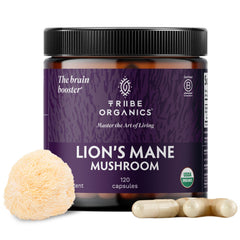 TRIBE ORGANICS Lion’s Mane supplement bottle supports daily focus and mental clarity.