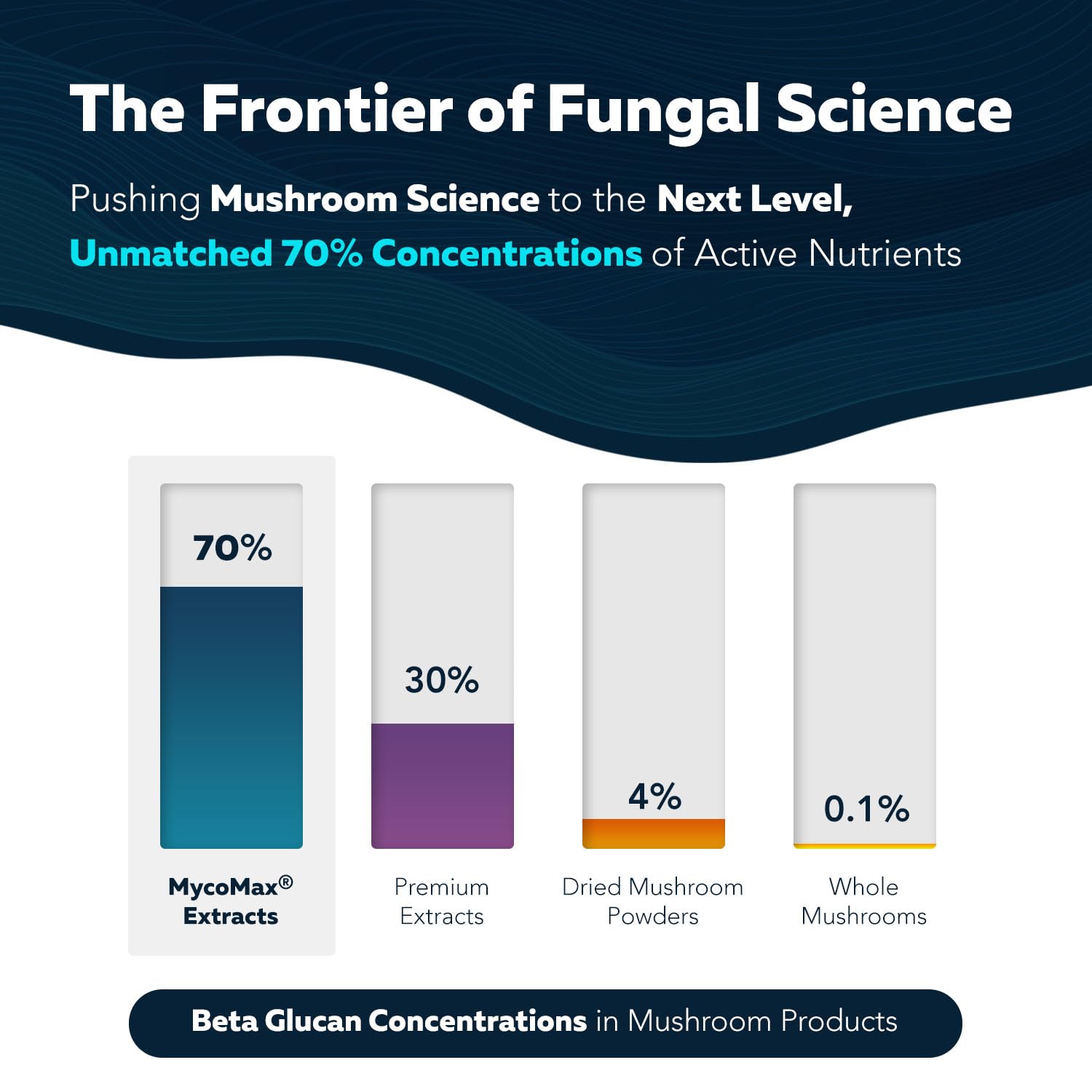 US-grown organic mushrooms underscoring purity and responsible sourcing