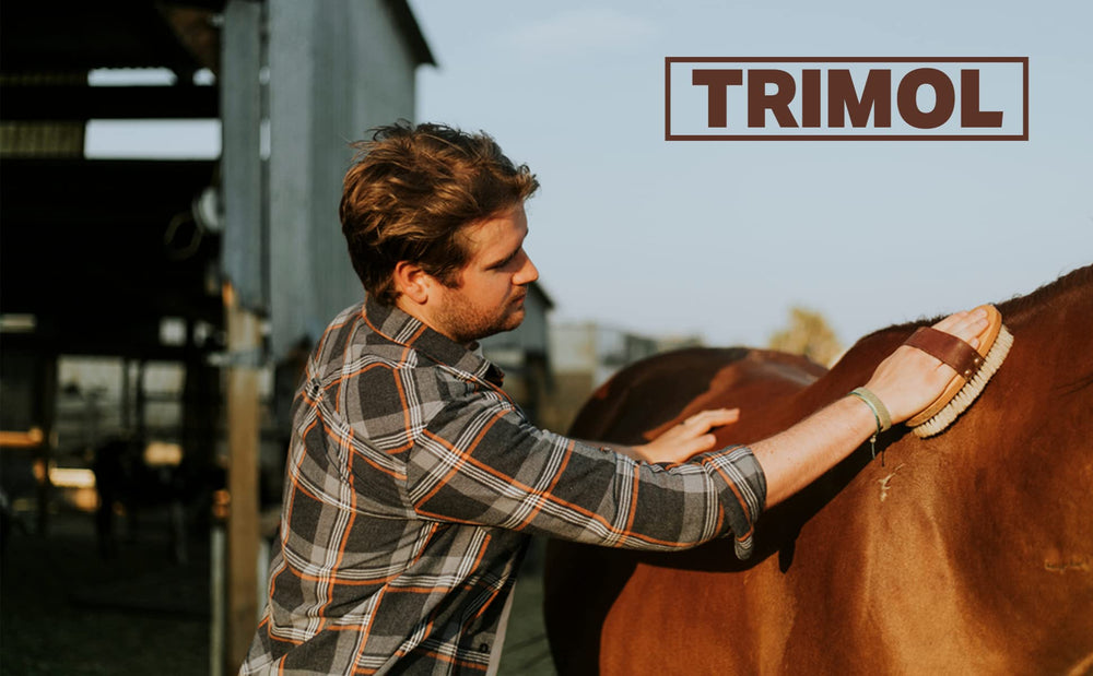 TRIMOL Ichthammol 20% ointment on hooves during grooming
