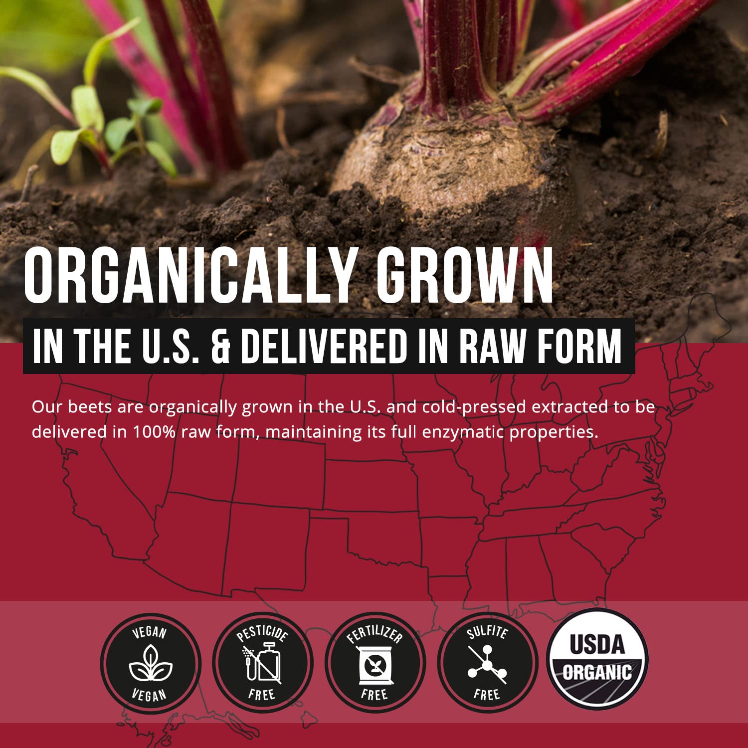 CO2 dehydration tag suggests pure, shelf-stable beet juice powder.
