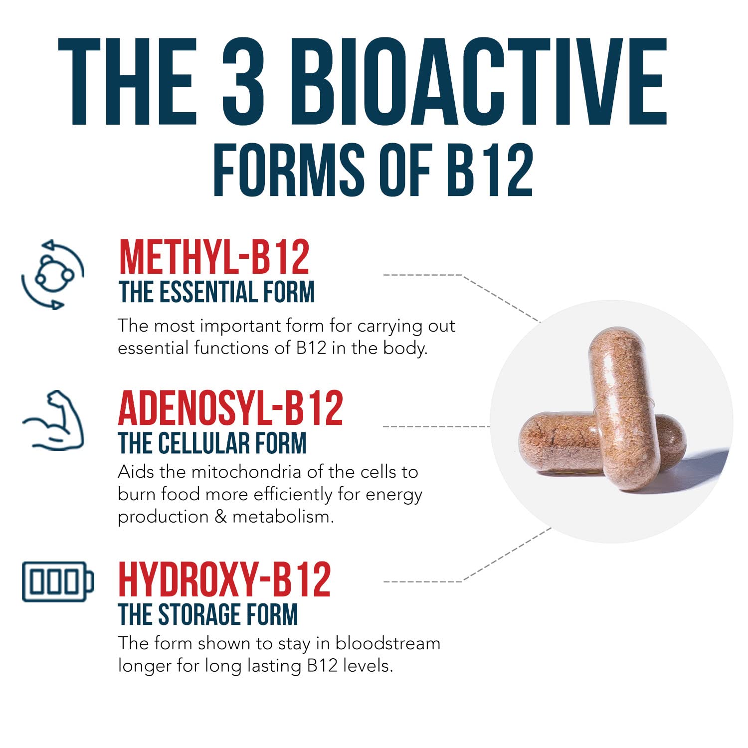 Triquetra Health BioActive B12 methylcobalamin bottle highlights energy-focused form.