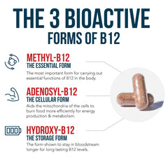 Triquetra Health BioActive B12 methylcobalamin bottle highlights energy-focused form.
