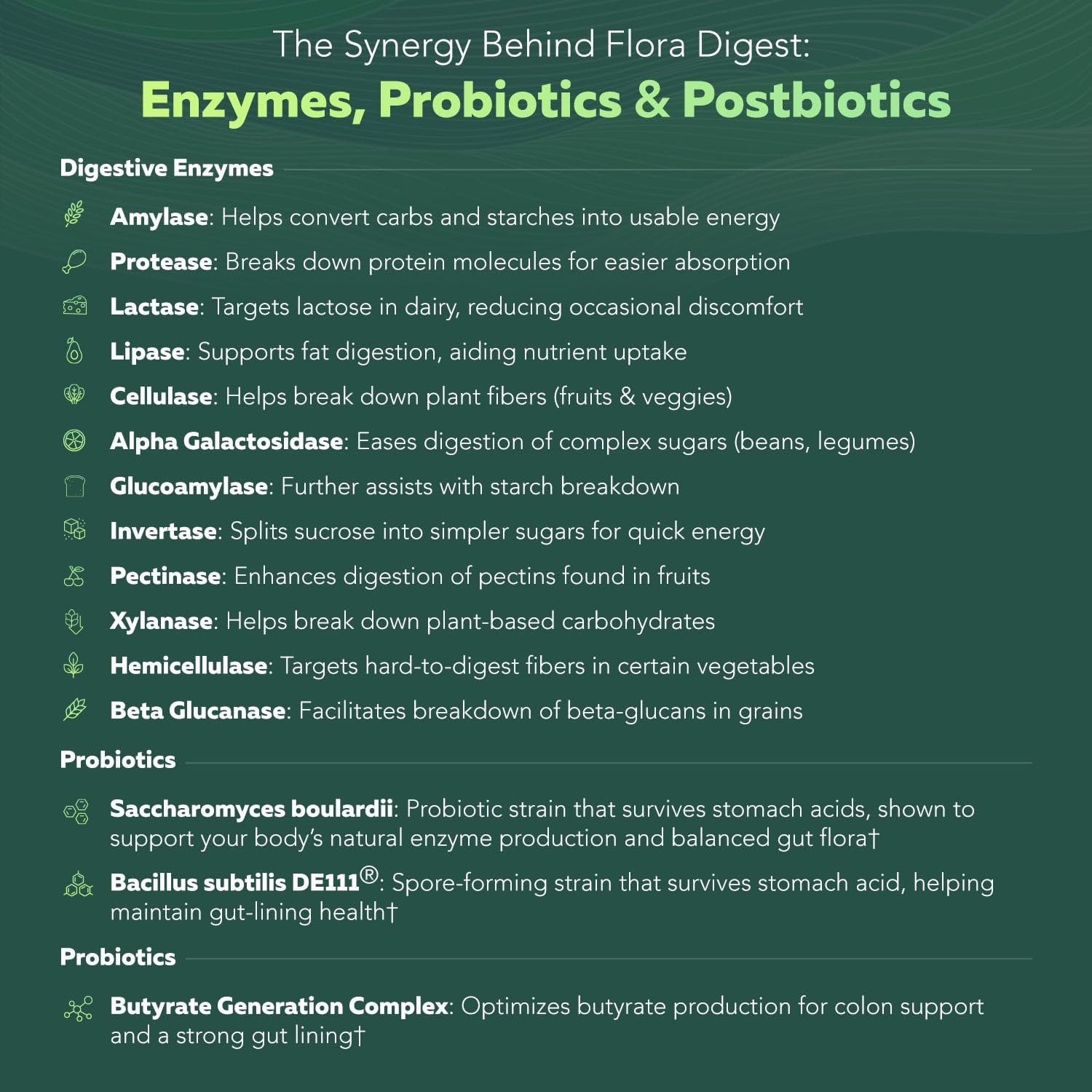 Closeup of Flora Digest digestive-ingredients emphasizing enzymes and probiotics