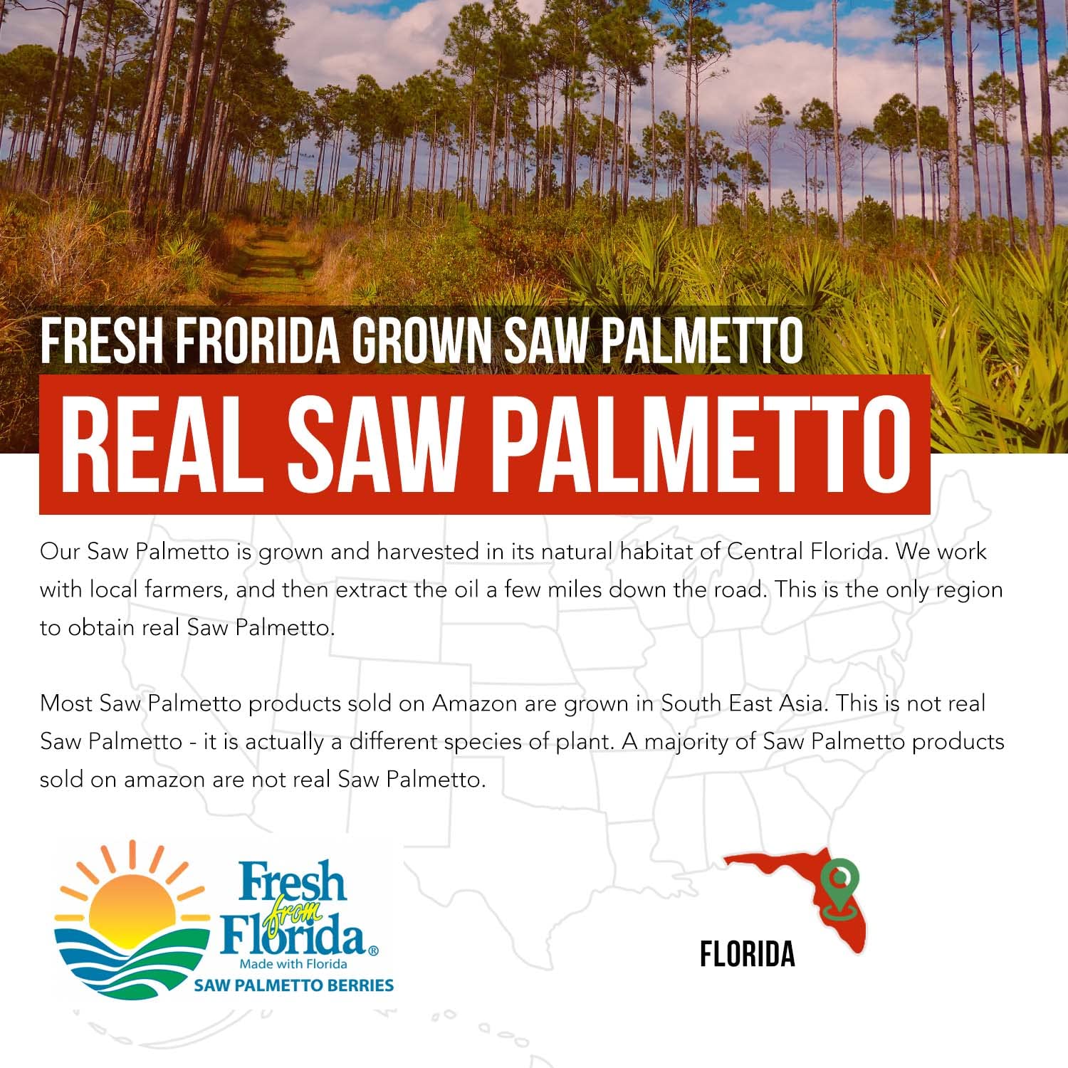 Triquetra Health Florida-grown saw palmetto field conveys pure sourcing