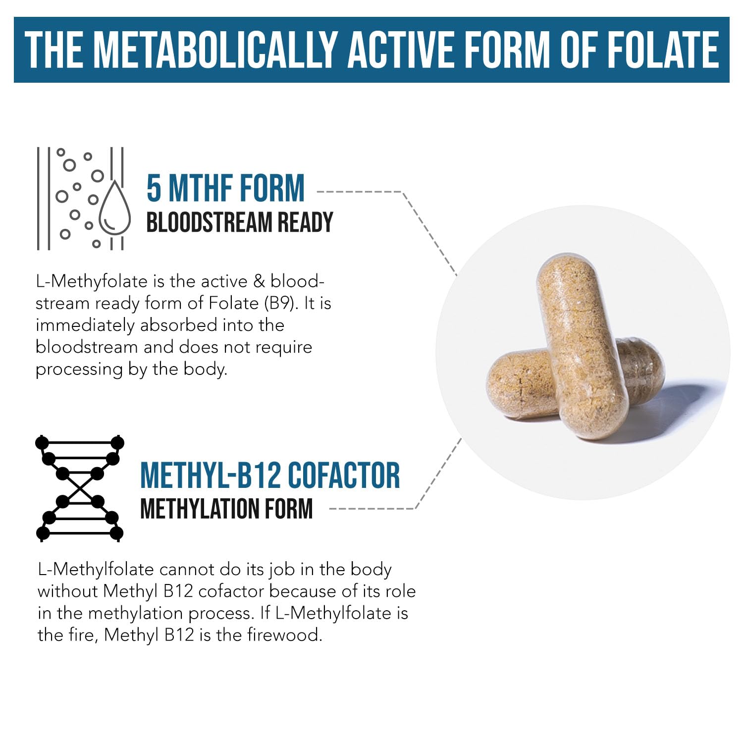 Triquetra Health L Methylfolate back label explaining methylation benefits.