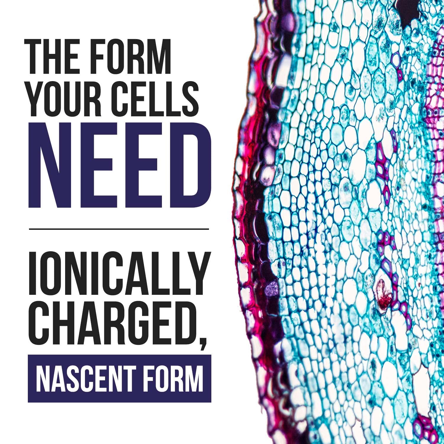 Glass bottle design preserves potency and quality of Nascent Iodine