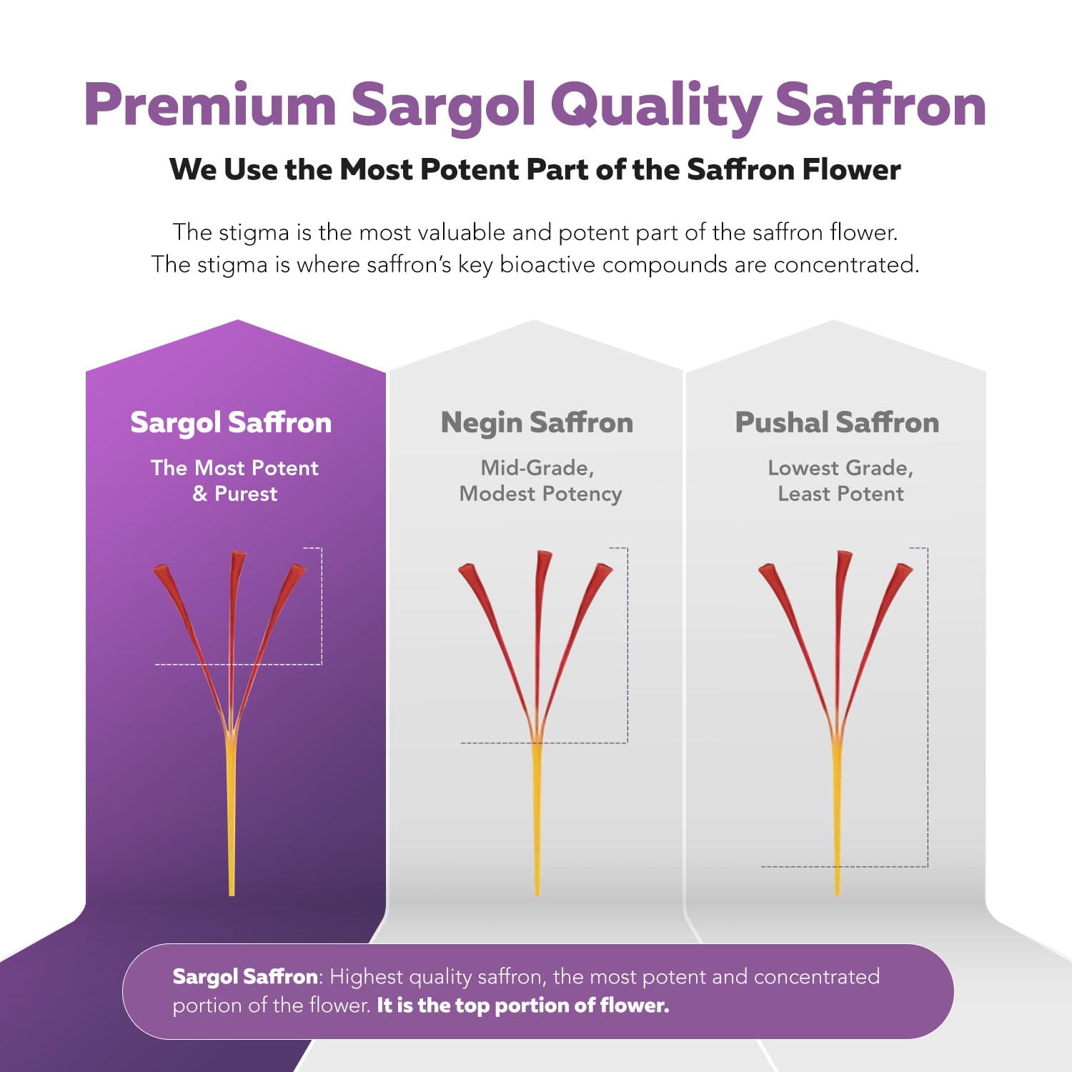 Triquetra Health saffron extract capsules ready for daily use