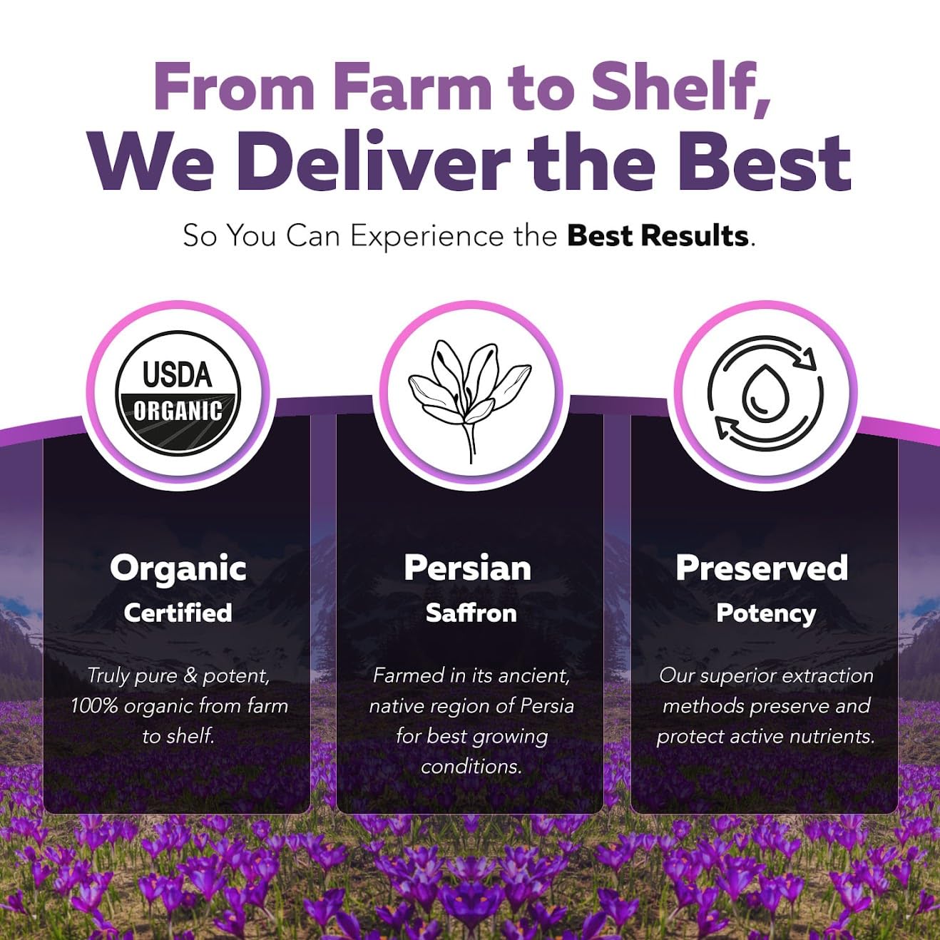 Triquetra Health saffron crocins highlight antioxidant-rich profile