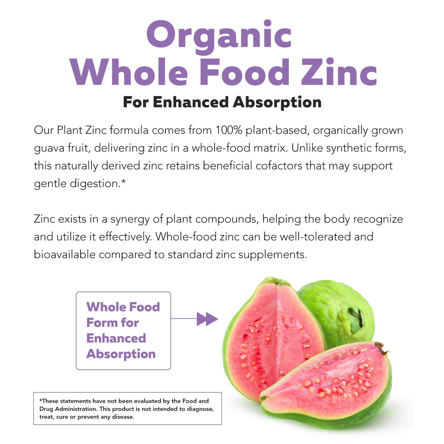 Close up of fruit based matrix in Triquetra Health Organic Zinc 25 mg