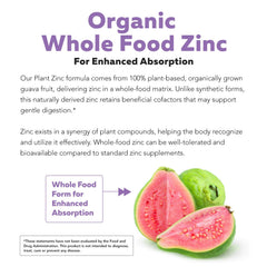 Close up of fruit based matrix in Triquetra Health Organic Zinc 25 mg
