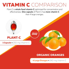 Triquetra Health Rutin cofactor closeup supports absorption context