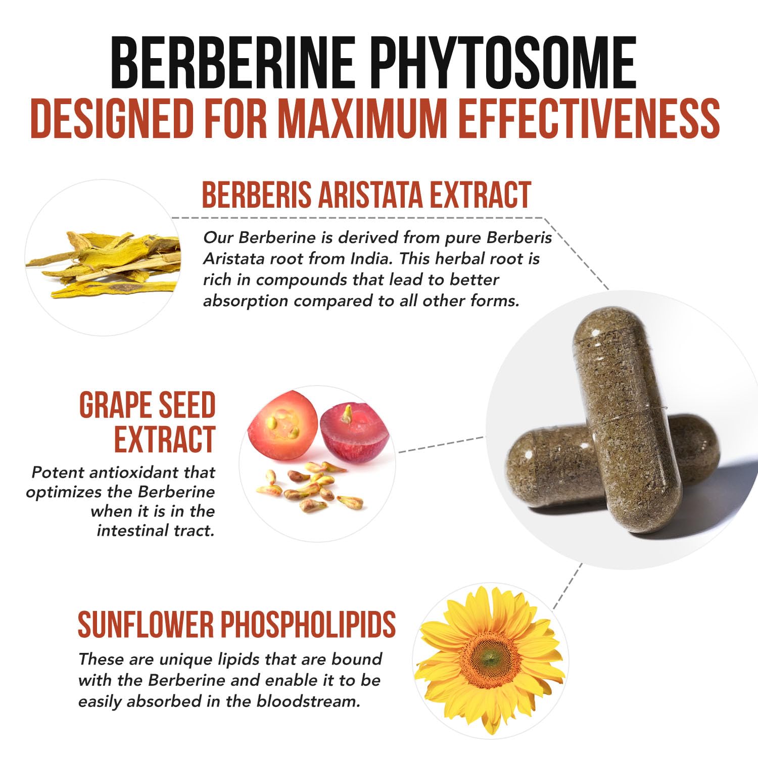 Triquetra Health SoActive Berberine foil packaging for portability.