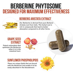 Triquetra Health SoActive Berberine foil packaging for portability.