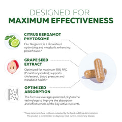 Triquetra Health SoActive Bergamot phytosome science concept emphasizes advanced absorption.