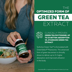 Triquetra Health SoActive Green Tea capsules close-up highlighting catechins and polyphenols