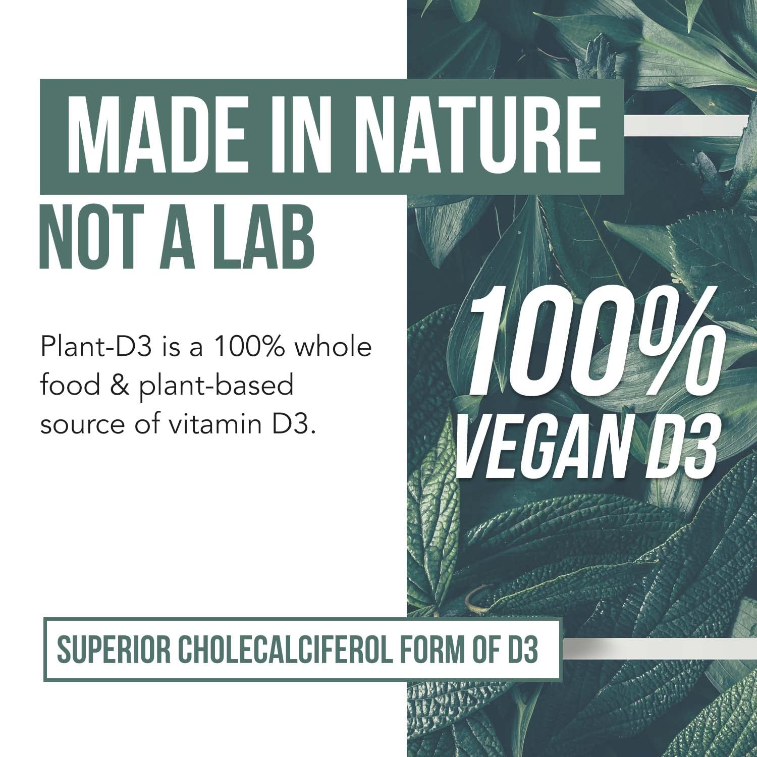 Triquetra Health Plant-D3 produced in USA-certified facility for quality assurance.