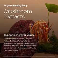 True Grace adaptogens bottle featuring holy basil and ashwagandha for stress support.