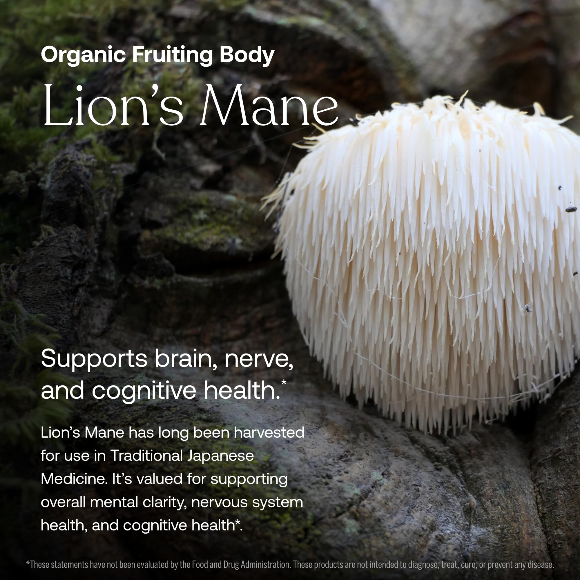 CoQ10 and vegan Vitamin D3 ingredients highlighted on the label.