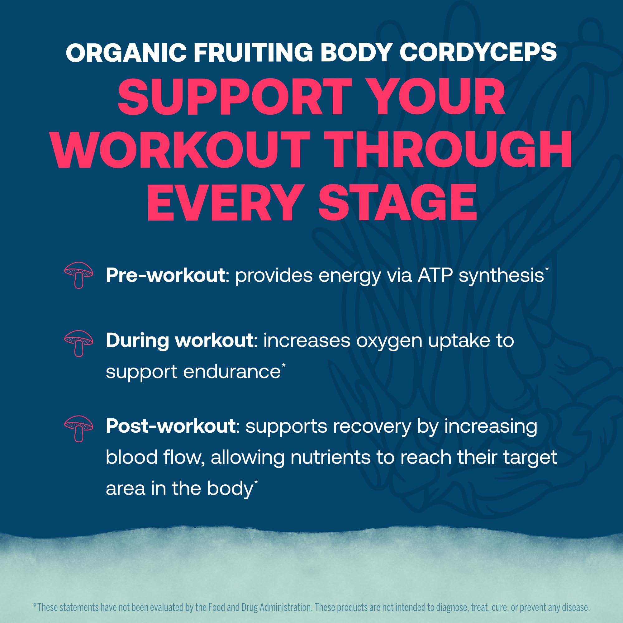 Two-pack ElectroMag delivers 32 servings for on-the-go hydration.