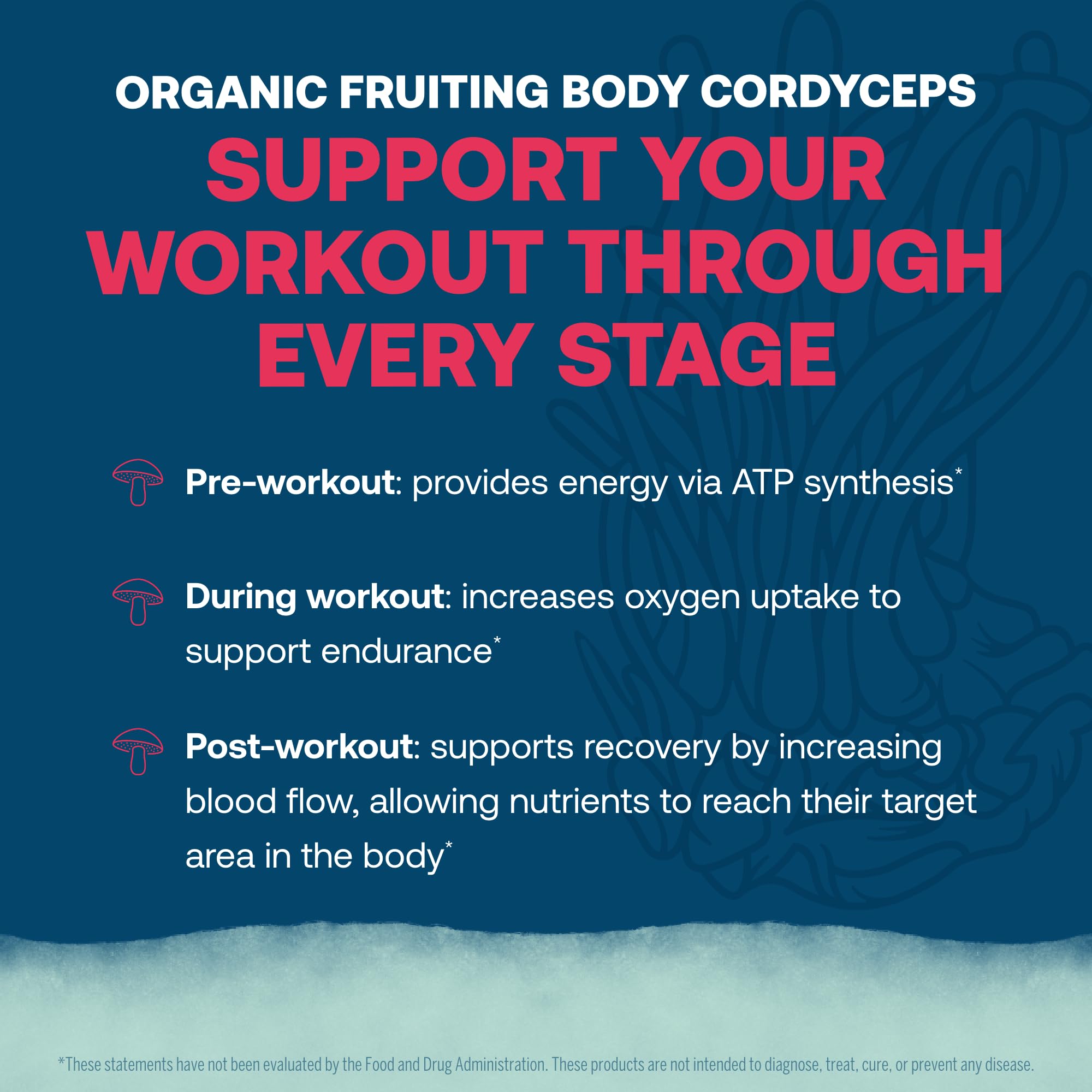 True Grace ElectroMag watermelon cordyceps label highlights energy support.
