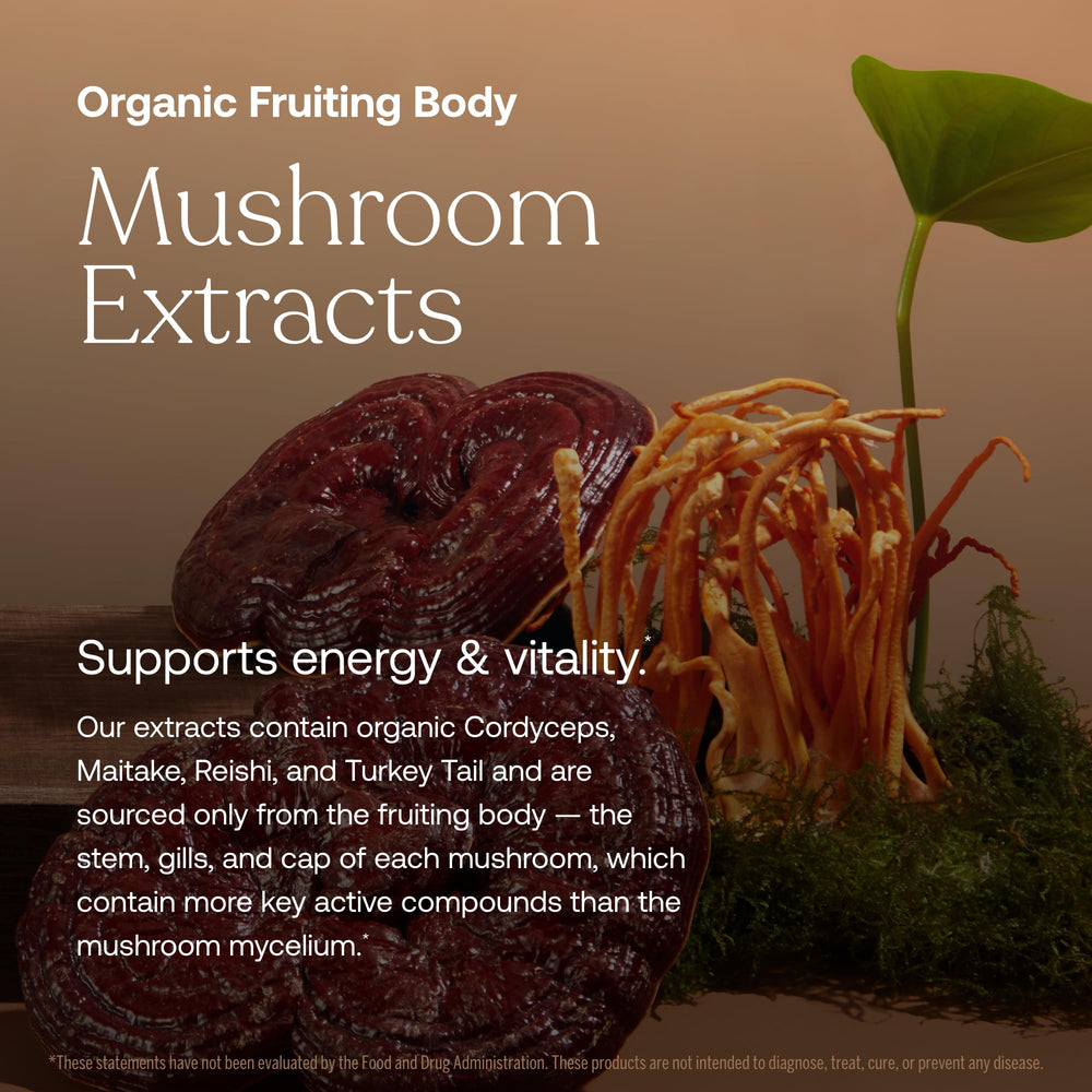True Grace One Daily organic mushroom blend label showcasing bioavailable compounds.