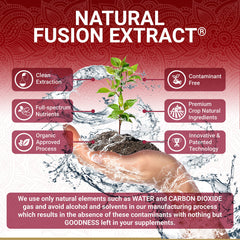 Pomegranate fruits and seeds source True Veda extract for natural benefits