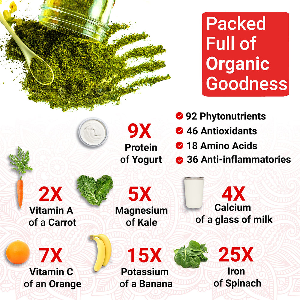 True Veda ten-to-one Moringa leaf extract capsules visual for concentrated plant nutrition