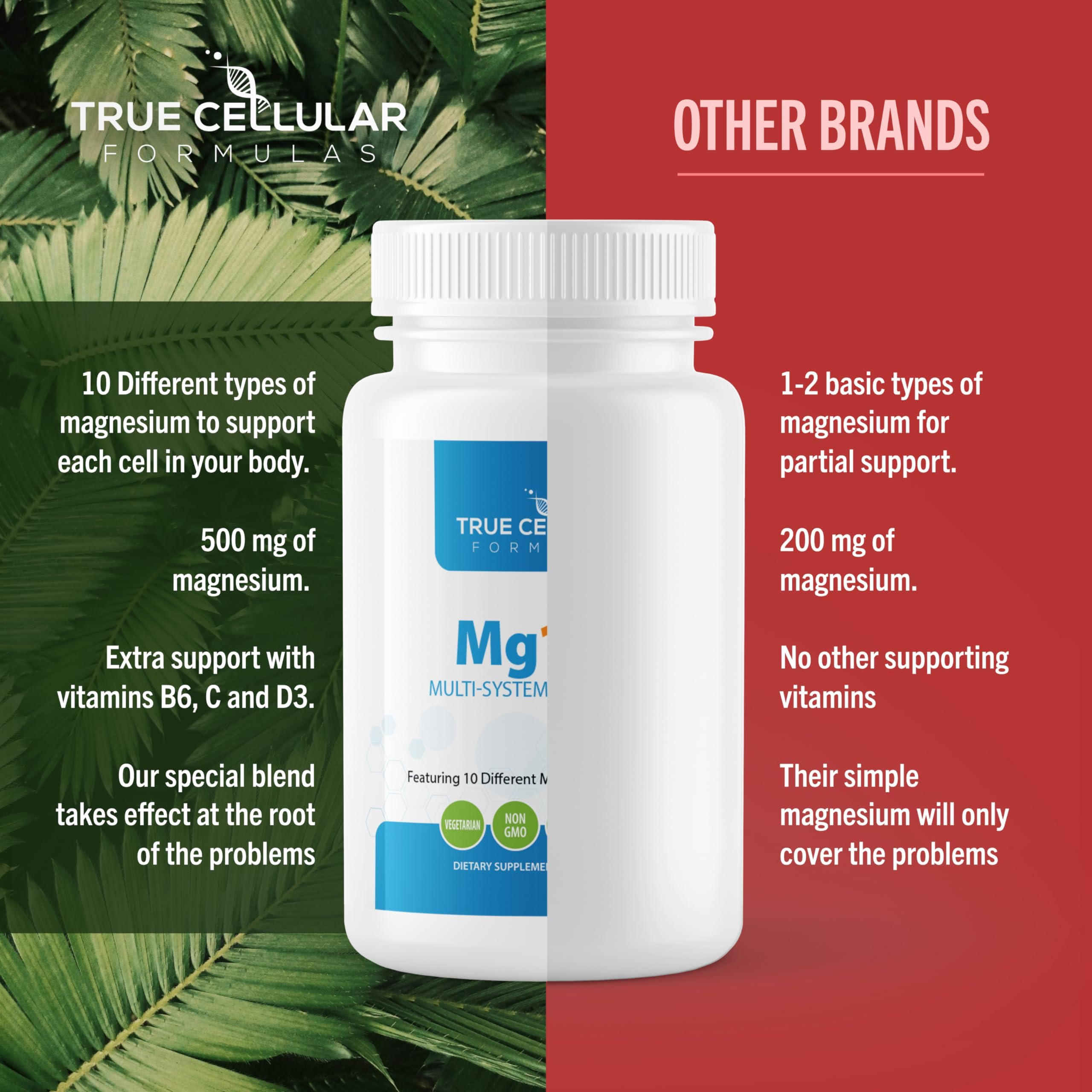 True Cellular Formulas Mg10X multi-system benefits include sleep, immunity, metabolism
