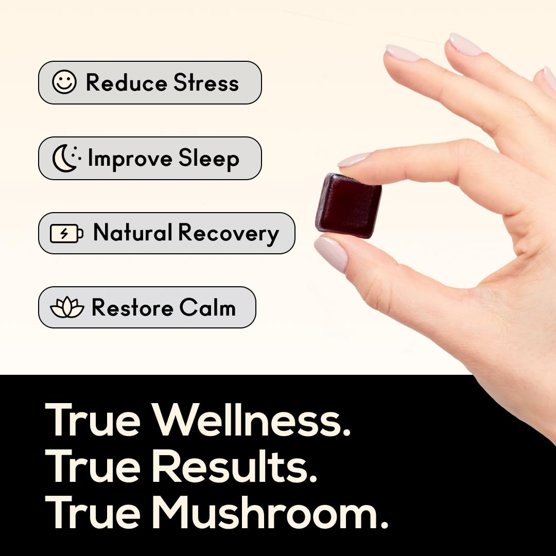 TrueMushroom Lions Mane gummy emphasizes premium mushroom blend.