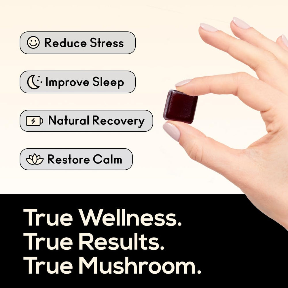 TrueMushroom Lions Mane gummy emphasizes premium mushroom blend.