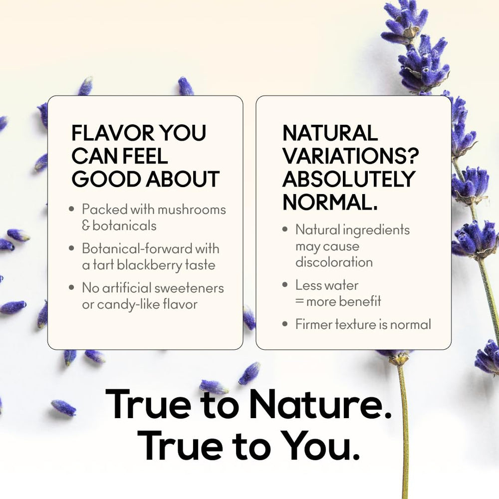 TrueMushroom packaging shot highlights convenient nightly dosing.