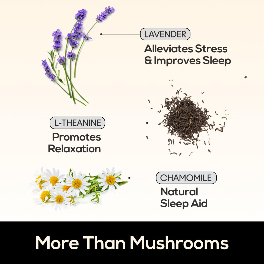 TrueMushroom Reishi, Cordyceps, and Shiitake display a balanced sleep-support blend.