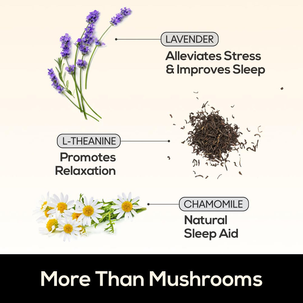 TrueMushroom Reishi, Cordyceps, and Shiitake display a balanced sleep-support blend.