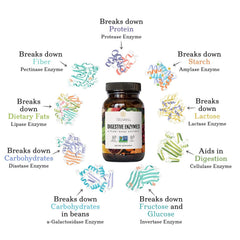 Truvani Digestive Enzymes capsules close-up highlighting non-GMO formula