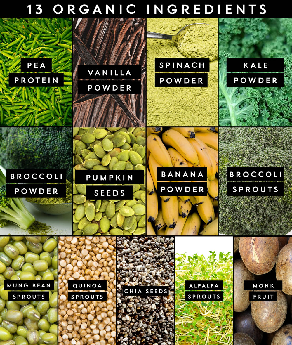 Truvani Protein + Greens shaker-mixer, convenient on-the-go protein and greens