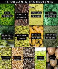 Truvani Protein + Greens shaker-mixer, convenient on-the-go protein and greens