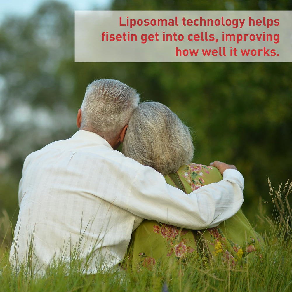 Uarcool Fisetin 60 capsules ready for a monthly routine