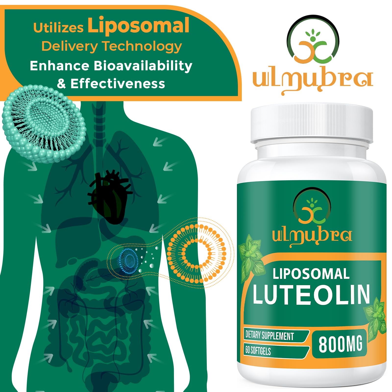 Ulmubra bottle highlights liposomal delivery for improved bioavailability.