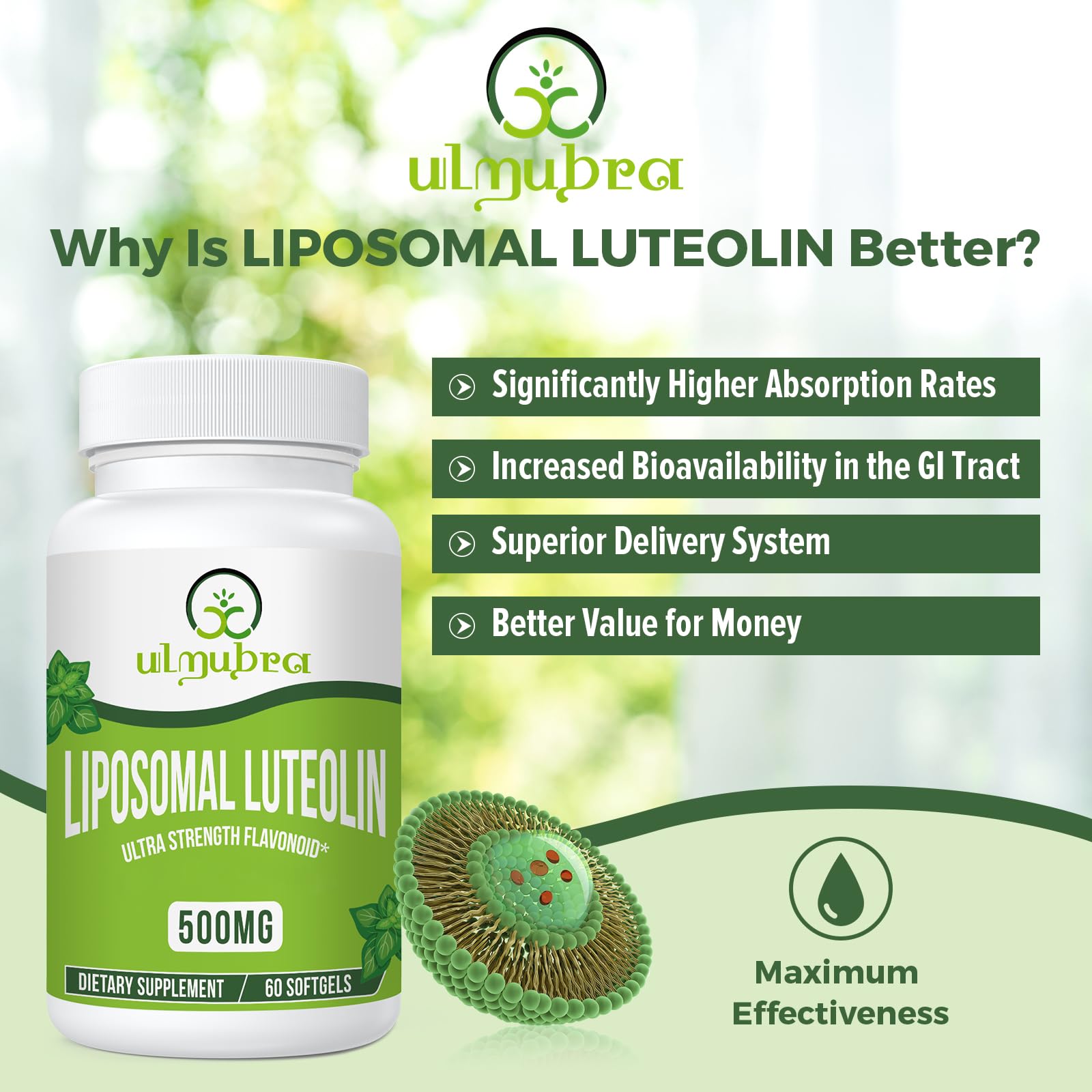 Closeup of Ulmubra Liposomal Luteolin softgels highlighting easy-to-swallow capsules