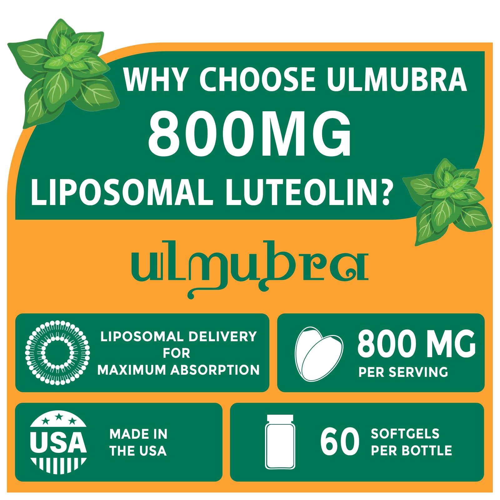 Ulmubra liposomal luteolin softgels close-up showing easy-to-swallow design.
